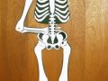 ¿Cómo hacer un esqueleto humano de cartón?