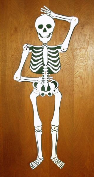 ¿Cómo hacer un esqueleto humano de cartón?