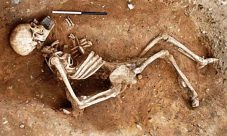 ¿Por qué los huesos no se descomponen?