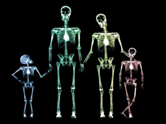 ¿Por qué los niños tienen más huesos que los adultos?